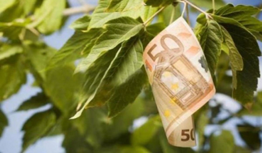 Αποζημίωση από τους ΟΤΑ σε περίπτωση θανάτου ή τραυματισμού από πτώση κλαδιών